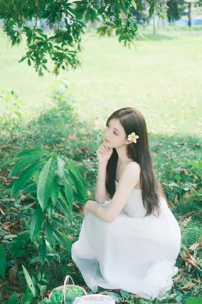 51动漫-写真·写真向条漫